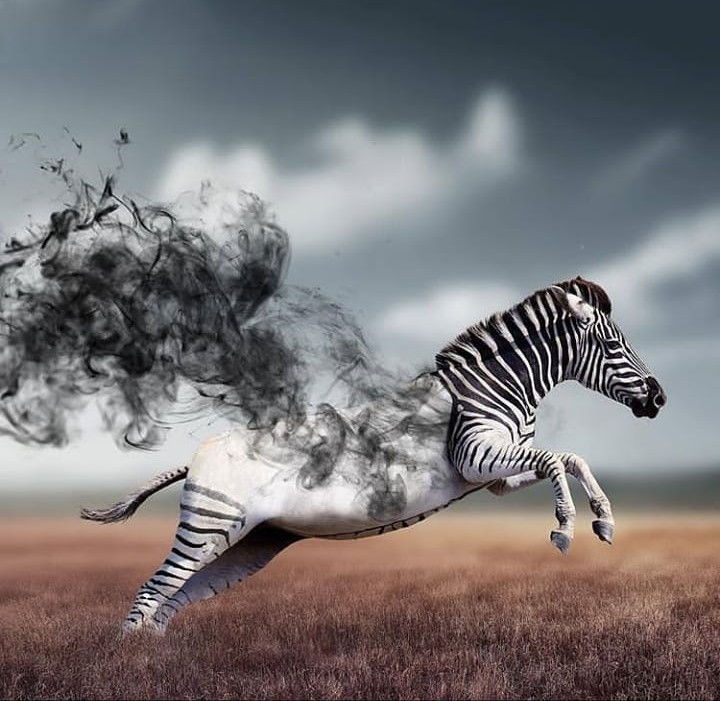 Some of the important things that might help you boost your Creativity